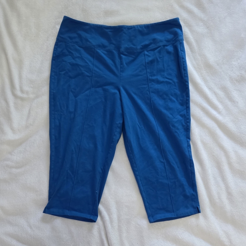 Women with Control by Renee Greenstein Pants